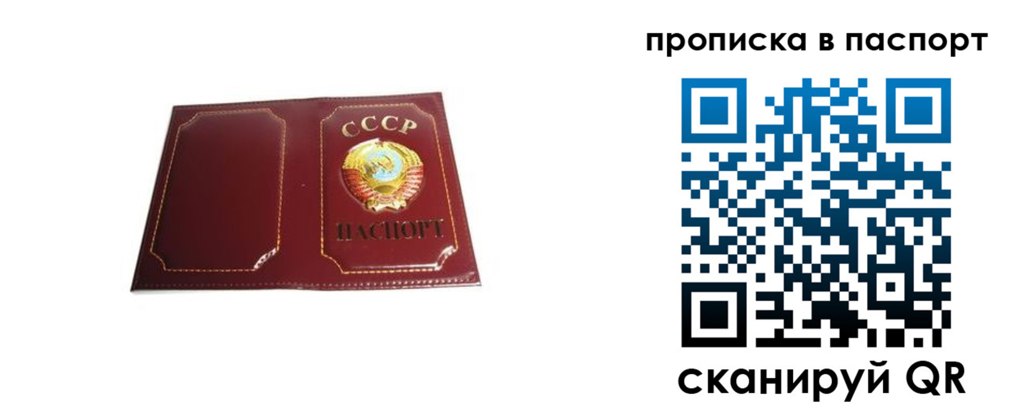 прописка для школы в Волжском